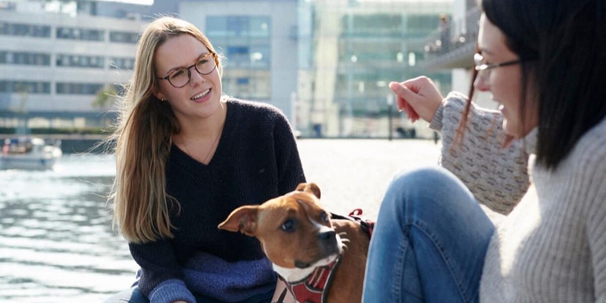 Terug naar de basis, focus op software cover